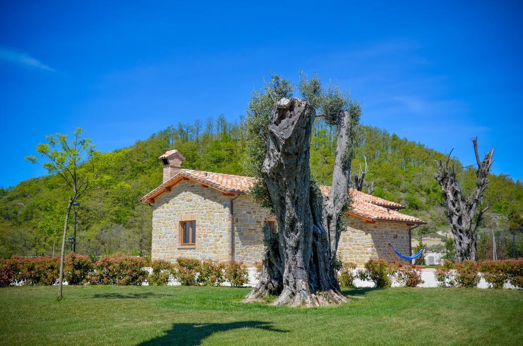 Tenuta Borgo Santa Cecilia グッビオ エクステリア 写真