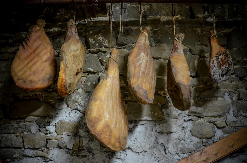 Tenuta Borgo Santa Cecilia グッビオ エクステリア 写真