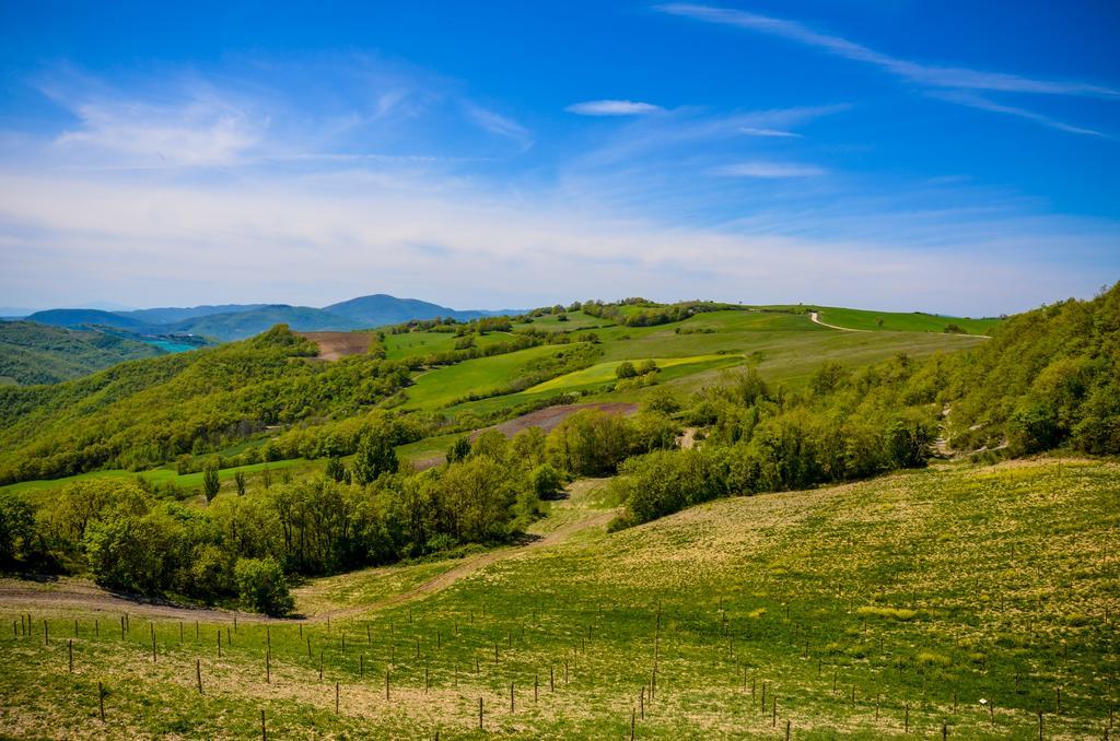 Tenuta Borgo Santa Cecilia グッビオ エクステリア 写真