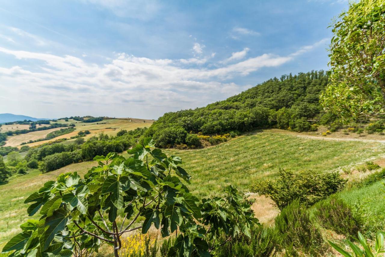 Tenuta Borgo Santa Cecilia グッビオ エクステリア 写真